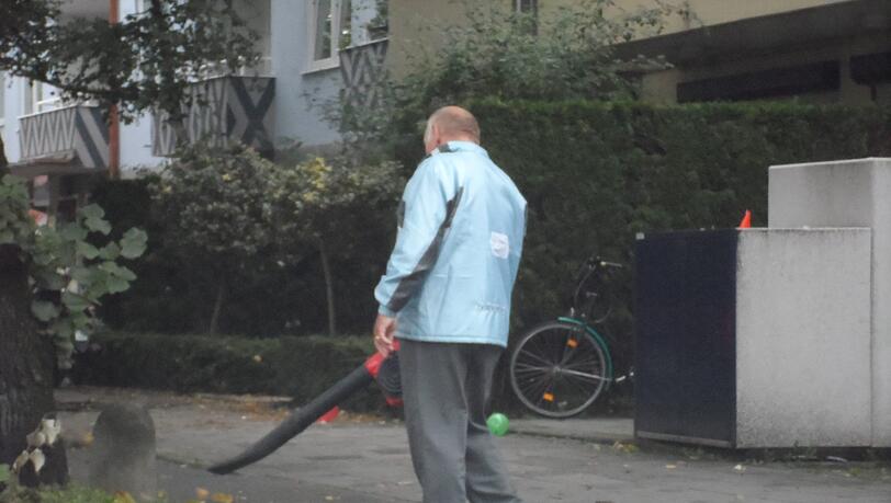 ...auch wenn sich der Aufwand wegen der paar Blättchen eigentlich noch gar nicht rentiert. ...auch wenn sich der Aufwand wegen der paar Blättchen eigentlich noch gar nicht rentiert.
