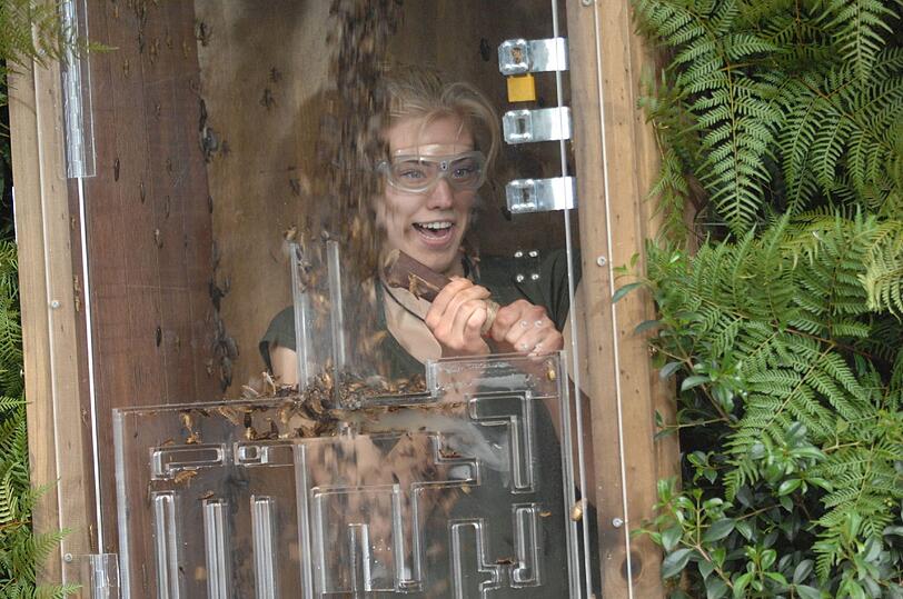 Kakerlaken-Dusche! Die Bilder von Tag 15 im Dschungelcamp...