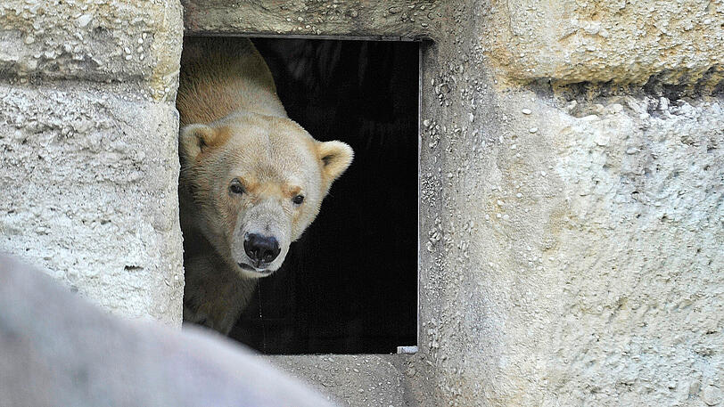 Da schaust! Der Tierpark hebt die Preise an.
