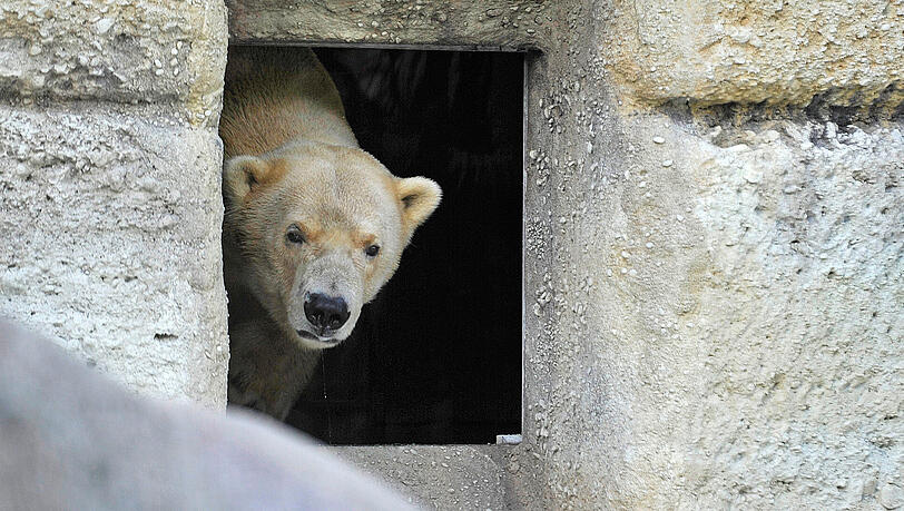 Da schaust! Der Tierpark hebt die Preise an. Da schaust! Der Tierpark hebt die Preise an.