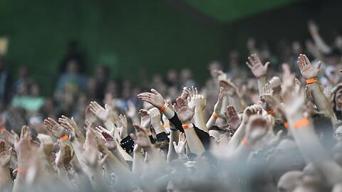 Fans jubeln im Stadion.