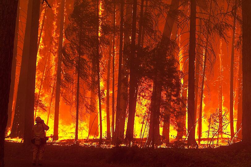 Die Waldbrände in der kalifornischen Sierra Nevada haben den Yosemite-Nationalpark erreicht. Die Bilder der Feuersbrunst!