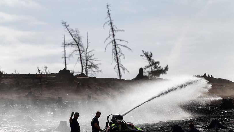 Feuerwehrleute bekämpfen versteckte Glutnester beim Waldbrand auf der Saalfelder Höhe.
