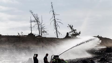 Feuerwehrleute bekämpfen versteckte Glutnester beim Waldbrand auf der Saalfelder Höhe.