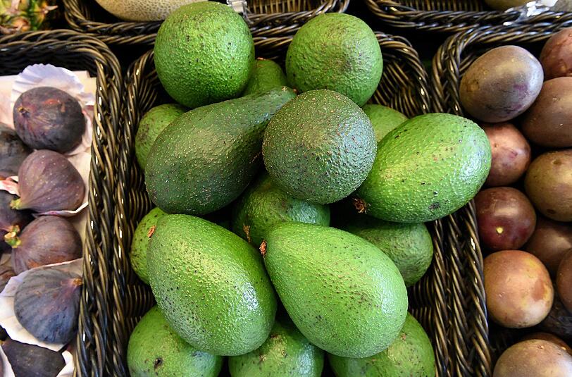 Der weltweite Avocado-Boom führt zur illegalen Abholzung von Tausenden Hektar Wald in Mexiko. Foto: Holger Hollemann/Archiv