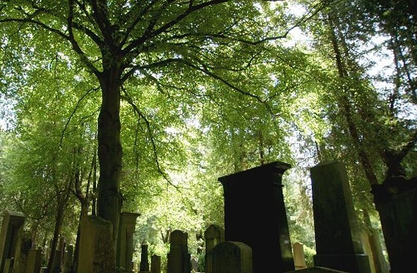 Ein verträumter Ort mit großer, harter und wunderbarer Geschichte: der mittlerweile als Friedhof ruhende "Alte jüdische Friedhof".