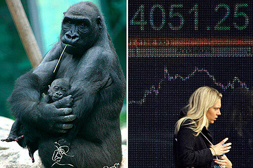 Die Finanzkrise trifft auch die Bewohner des Tierparks.