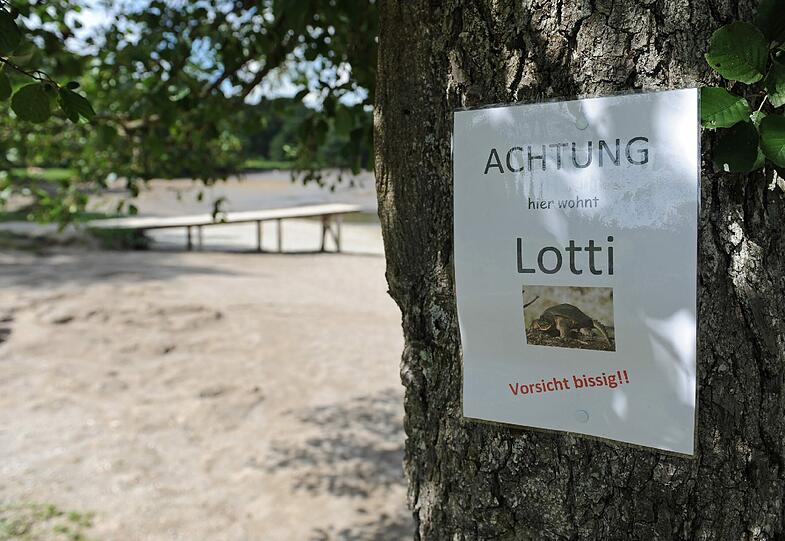 Bilder vom Badesee: Wo ist die Alligator-Schildkröte vom Oggenrieder Weiher?