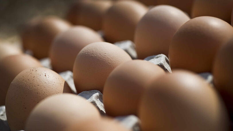 Die Eier wurden nicht als Bio-, sondern als weniger wertvolle Bodenhaltungseier verkauft. (Symbolbild)