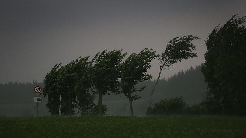 Orkanartige Sturmböen haben große Teile der niederbayerischen Wälder verwüstet. (Archivbild)