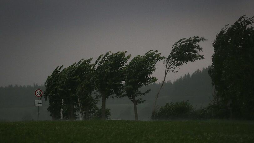 Orkanartige Sturmböen haben große Teile der niederbayerischen Wälder verwüstet. (Archivbild)