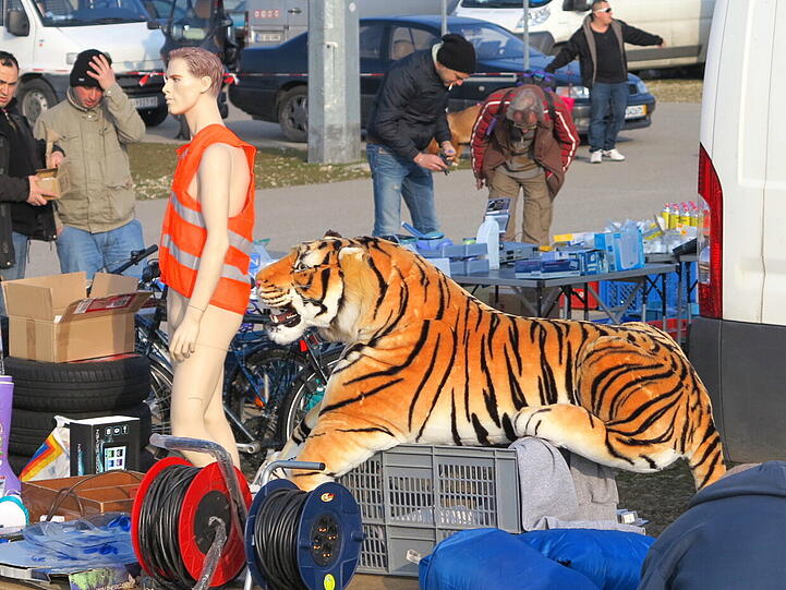 ...der Tiger dagegen macht im Wohnzimmer sicherlich was her.