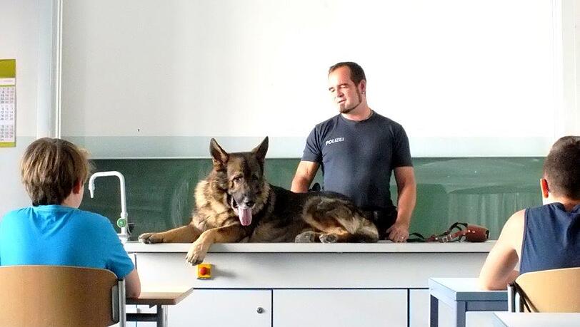 Sprengstoffspürhund "Herkules" im Klassenzimmer der 7. Klasse an der Marieluise-Fleißer-Realschule. Sprengstoffspürhund "Herkules" im Klassenzimmer der 7. Klasse an der Marieluise-Fleißer-Realschule.