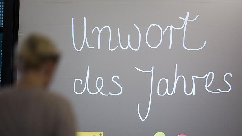 Die Unwort-Aktion gibt es seit 1991. Für 2016 waren 1064 Einsendungen mit 594 verschiedenen Vorschlägen eingegangen.