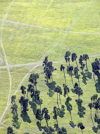 Herbert Stolz liebt die Perspektive aus der Luft auf die Panzerwiese im M&uuml;nchner Norden. Dieses Bild ist sein Lieblingsfoto aus dem Kalender.