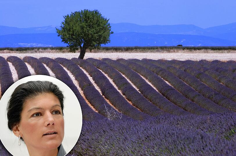 Ob sie sich dort auch auf ein Eis mit Sahra Wagenknecht treffen könnte, bleibt fraglich. Zeit dafür wäre genug. Die Vorsitzende der Linken-Bundestagsfraktion will sich drei Wochen in Frankreich erholen, sagt sie.