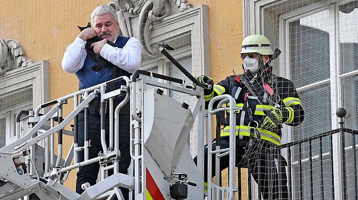 Rettungsversuch geglückt: Die Katze kann geborgen werden.
