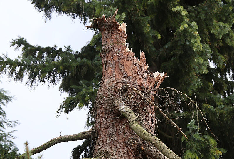 Bilder aus Bayern.
