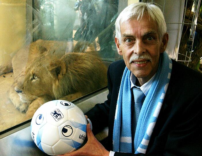 Zwei einjährige Löwenjungs wohnen seit einigen Tagen im Tierpark Hellabrunn. Und der TSV 1860 hat für sie eine Patenschaft übernommen. Klicken Sie durch die besten Aufnahmen von den verspielten Tieren!