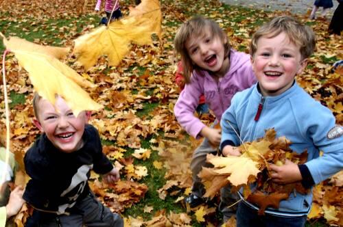 Spaß im Herbst: Laub kann aber auch viel Ärger bereiten