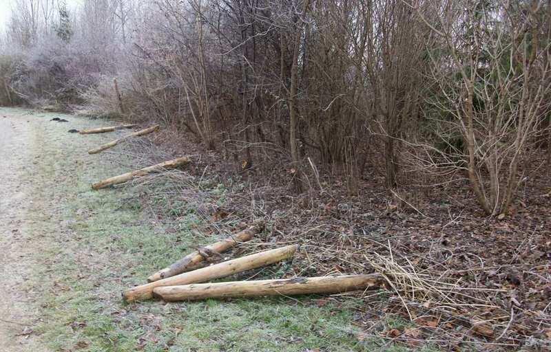 Die Einzäunung an der Langwieder Seenplatte verfällt.