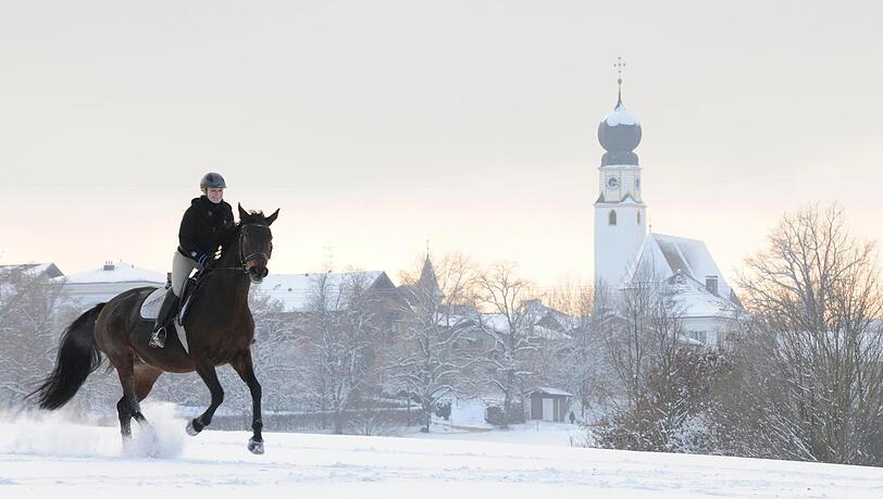 Zum Gut Ising geh&ouml;ren auch Stallungen mit Pferden. Ausreiten im Schnee &ndash; herrlich.
