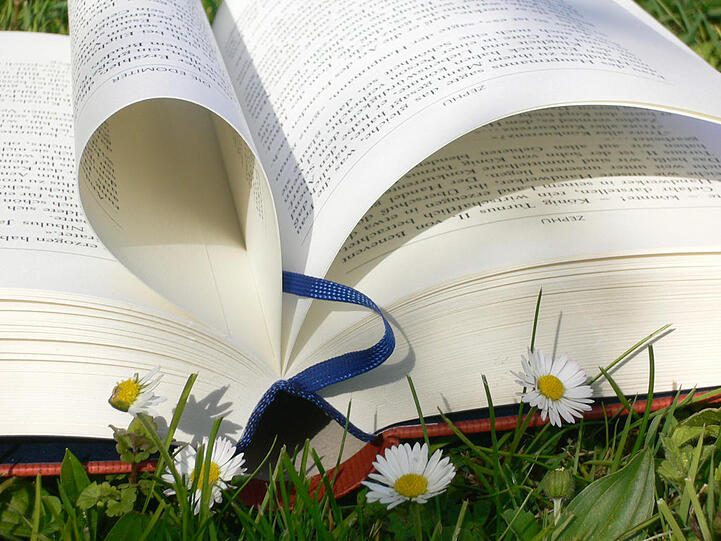 Ferien zwischen Büchern: Für viele Leseratten gibt es im Urlaub nichts Schöneres.