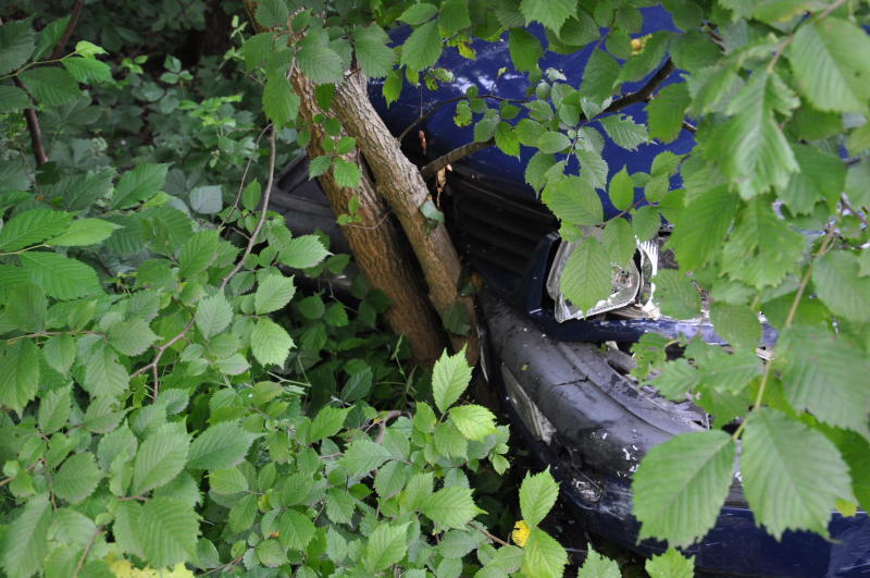 Der Wagen zerschellte an einem Baum - der Fahrer starb an der Unfallstelle.
