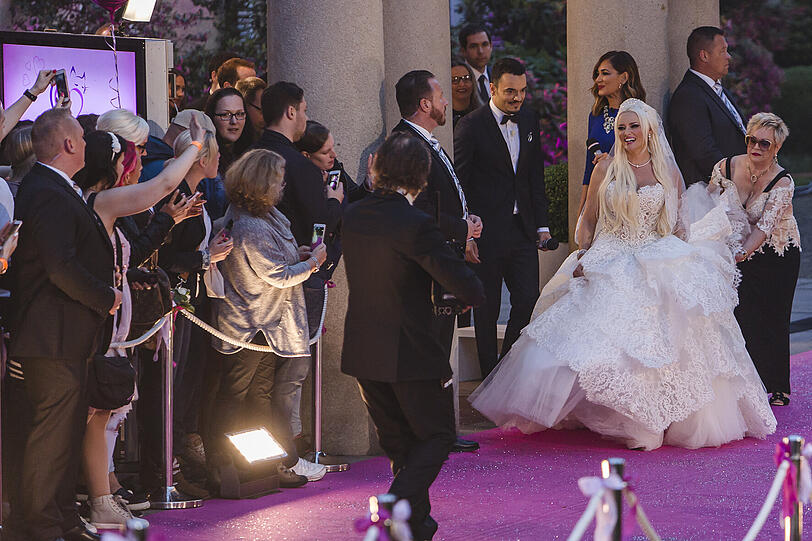 Weitere Bilder der "Katzenhochzeit"