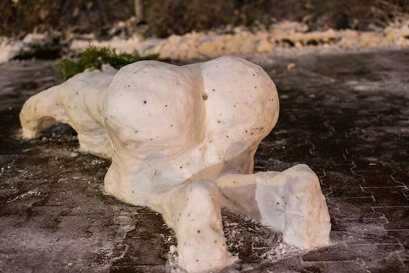 "Doggy Ursel" hielt leider nicht lange. Der Schneepflugfahrer nahm seinen Job ernst.