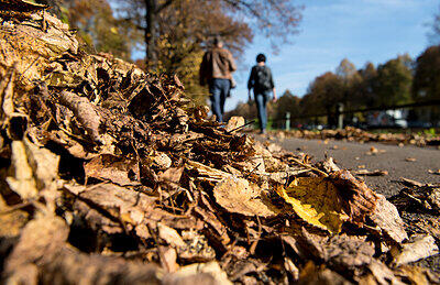 Noch ist es herbstlich in München, aber der Winter naht.