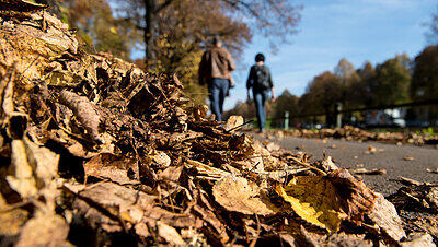 Noch ist es herbstlich in München, aber der Winter naht. Noch ist es herbstlich in München, aber der Winter naht.