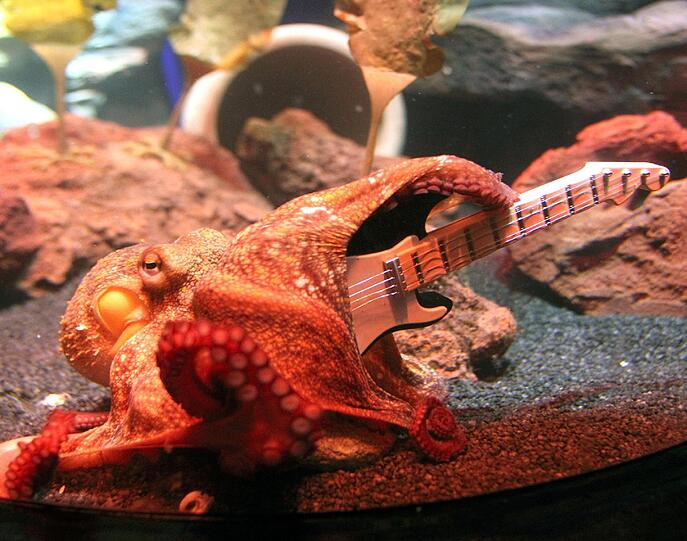 Paul junior macht sich derzeit in der Ausstellung "Octopus Garden" einen Namen an der E-Gitarre.