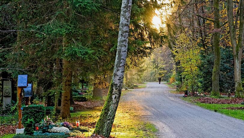 Tolle Lichtspiele am Waldfriedhof! Tolle Lichtspiele am Waldfriedhof!