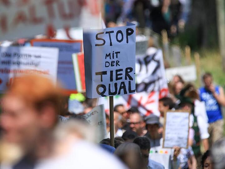 Gegen mutmaßliche Tierquälerei auf einem der größten Milchviehbetriebe in Bayern demonstrieren Tierschützer. Foto: Benjamin Liss