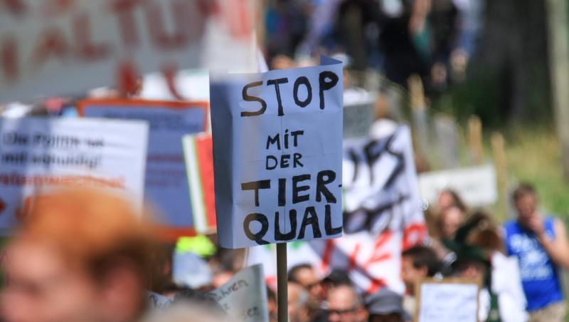 Gegen mutmaßliche Tierquälerei auf einem der größten Milchviehbetriebe in Bayern demonstrieren Tierschützer. Foto: Benjamin Liss Gegen mutmaßliche Tierquälerei auf einem der größten Milchviehbetriebe in Bayern demonstrieren Tierschützer. Foto: Benjamin Liss
