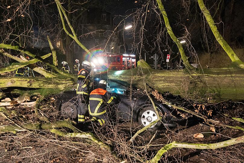 Auch dieses Auto wurde in Hamburg unter einem Baum begraben.