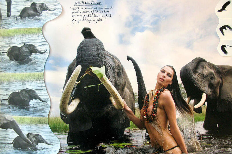 Die exklusiven Fotos aus dem Pirelli-Kalender sind nun erstmals auch in einem käuflichen Sammelband erschienen.
