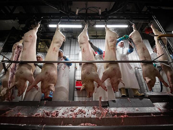 Mitarbeiter eines Schlachthofs zerteilen am Fließband hängende Schweine.