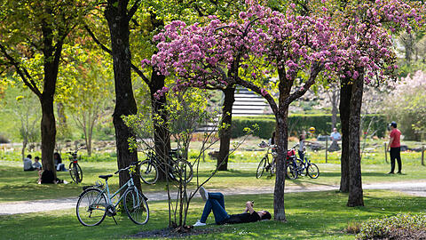 Das schöne Frühlingswetter hat am Samstag etliche Leute in den Westpark gelockt. Dabei ist es nicht immer so friedlich geblieben wie auf diesem Foto. (Symbolbild)