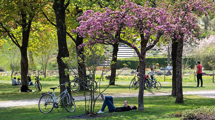 Das schöne Frühlingswetter hat am Samstag etliche Leute in den Westpark gelockt. Dabei ist es nicht immer so friedlich geblieben wie auf diesem Foto. (Symbolbild)