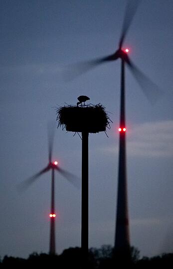 Vom Licht des Vollmondes beschienen steht ein Storch in seinem Nest in der Nähe von Schöneck (Hessen). Im Hintergrund drehen sich Windräder mit ihren Kollisionswarnlichtern für den Luftverkehr.