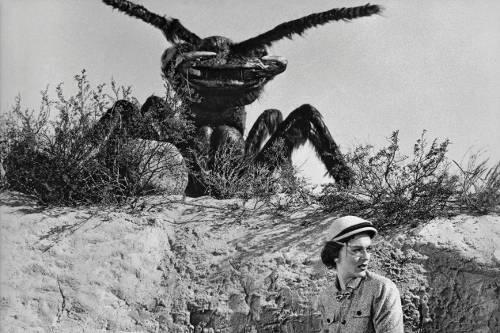Leicht dramatisiert: Szene aus dem Film &bdquo;Formicula&ldquo; (1954), in dem Riesenameisen unbescholtene Hausfrauen überfallen.