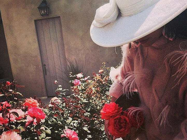 Lady Gaga und ihre geliebten Röschen