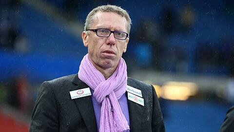 Peter Stöger wechselt als Trainer von Austria Wien zum 1. FC Köln.