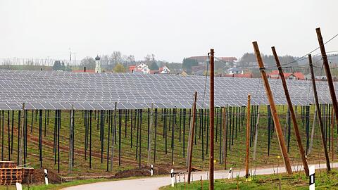 Das Pilotprojekt kombiniert Landwirtschaft und Solarkraft - inmitten von Hopfenfeldern in der Hallertau.