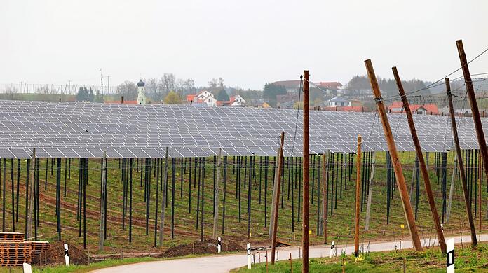 Das Pilotprojekt kombiniert Landwirtschaft und Solarkraft - inmitten von Hopfenfeldern in der Hallertau.