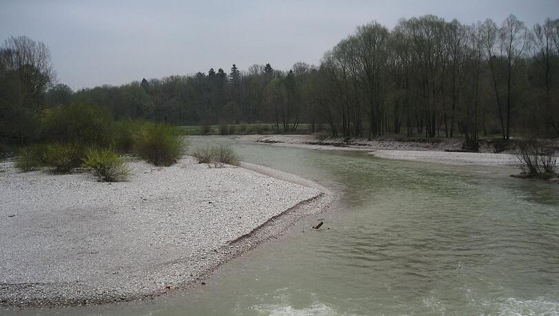 Die wilde Seite der Isar