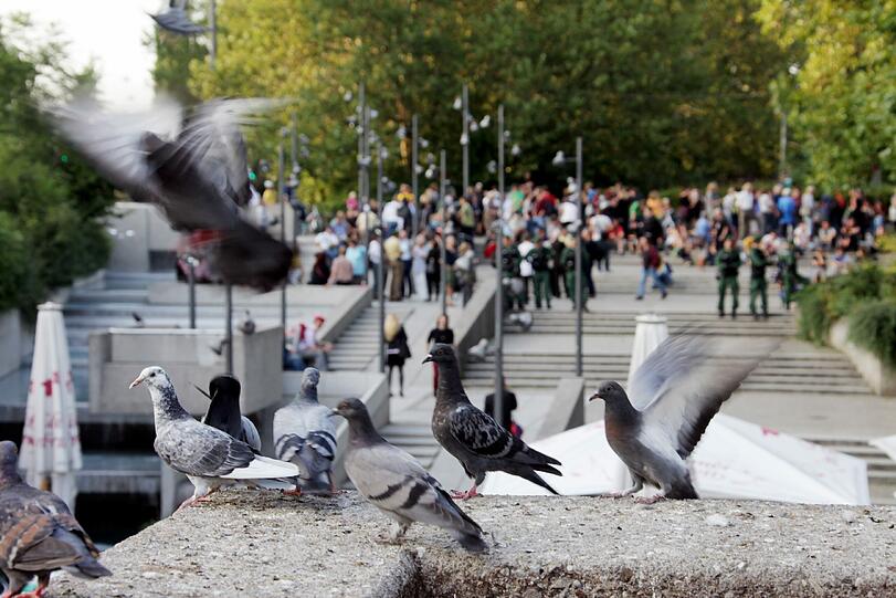 Hunderte Münchner warteten an der Münchner Freiheit auf die Flüchtlinge, die ihren über 300 Kilometer langen Protestmarsch durch Bayern am Dienstag in der Landeshauptstadt beendeten.