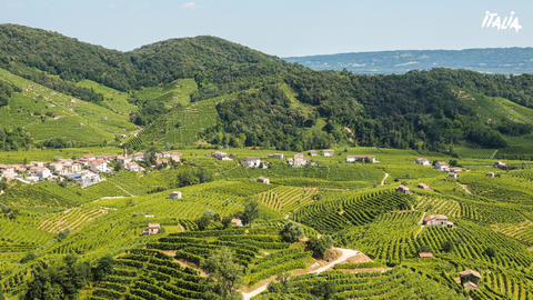 Hier aus den Weinbergen von Valdobbiadene stammt der Schaumwein Prosecco